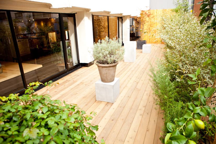 terrace - 3